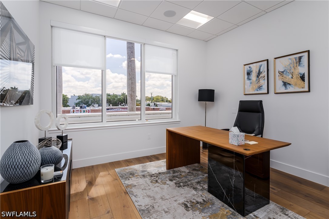 Private office with treetop views